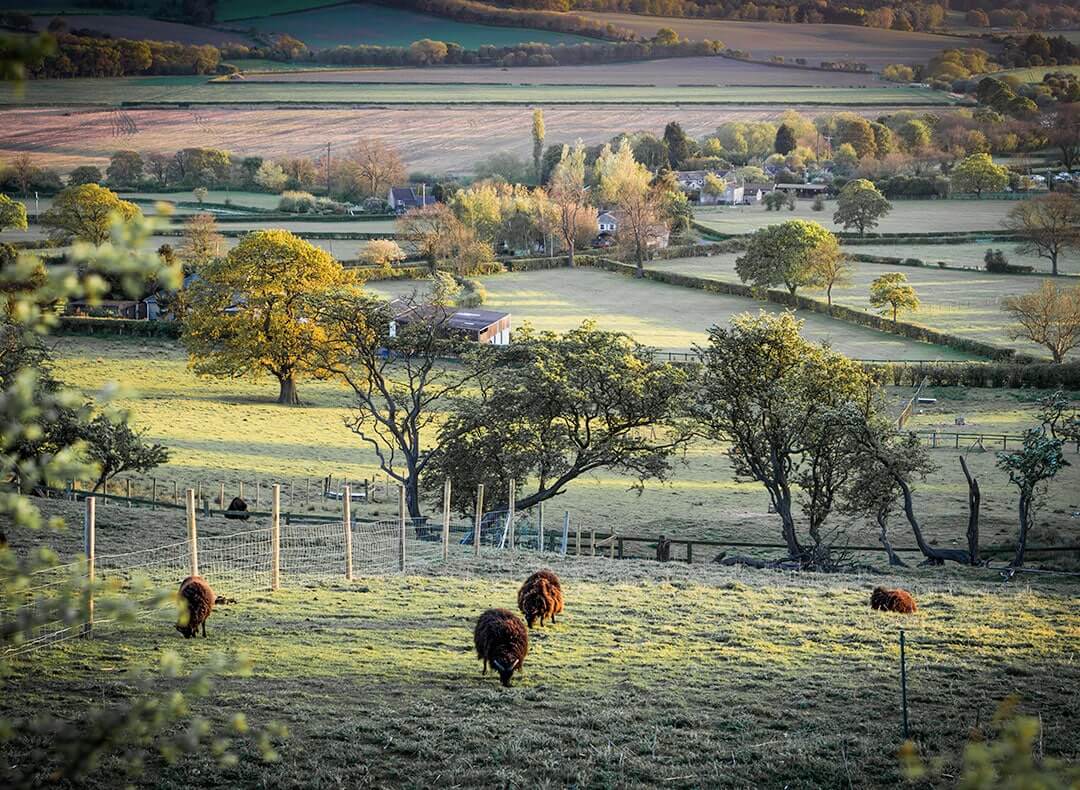 Ranch Landscape | Estate Lawyer | Myatt & Bell, P.C.