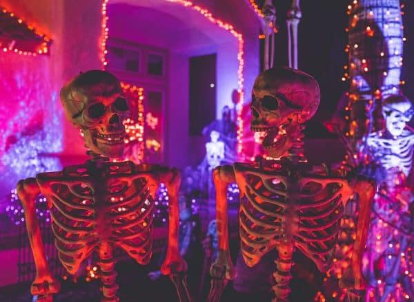 Skeletons Halloween Decorations | Estate Lawyer | Myatt & Bell